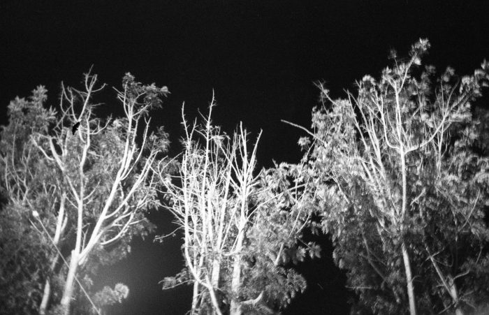 Exposición fotográfica “Umbra” en Providencia