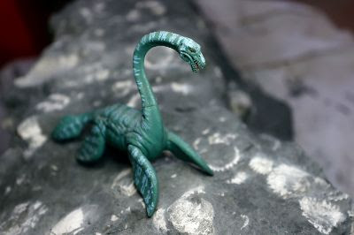 Tesoro paleontológico en Algarrobo: Elasmosaurio de 70 millones de años podría ser una “primicia”