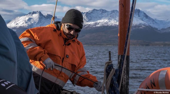 Implementan pionera red de monitoreo acústico de mamíferos marinos en Magallanes