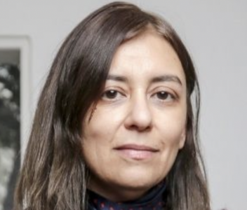 María José Viera-Gallo