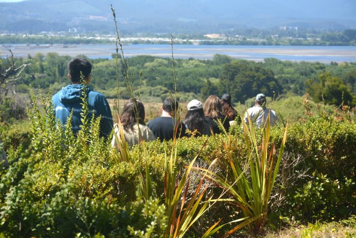 Biobío: diversas actividades en el Día de los Patrimonios en el Parque Museo Pedro del Río Zañartu