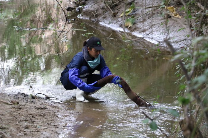 Remueven más de 15 kilos de contaminantes en Laguna Verde gracias a cabello reciclado