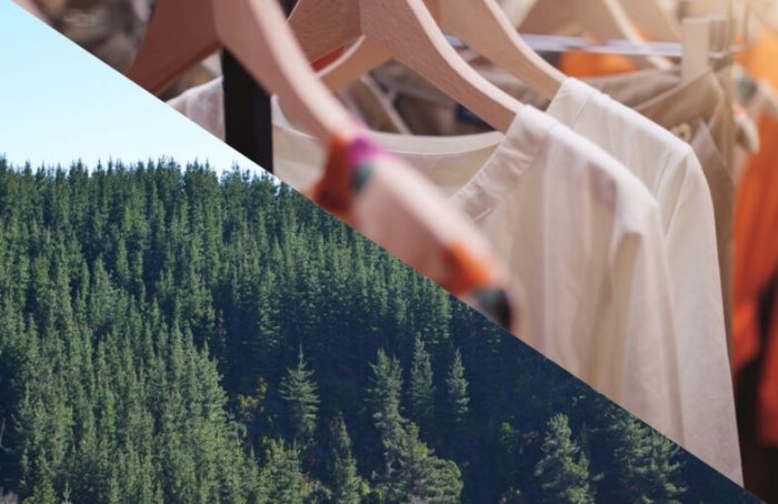 Pulpa textil: el lado fashion de la industria forestal