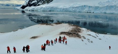 Aguas más cálidas avanzan hacia la Antártica: alerta por impacto que podrían tener en Chile