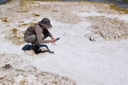 Microorganismos descubiertos en Atacama revelan cómo la vida prolifera en condiciones extremas