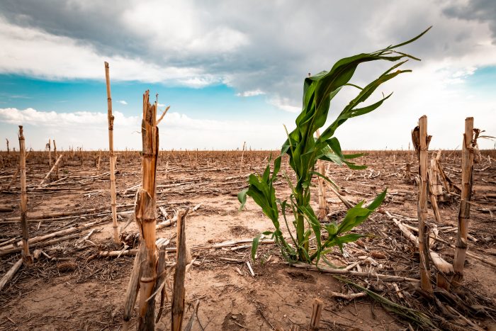 Día Mundial de la lucha contra la desertificación y la sequía: los desafíos pendientes