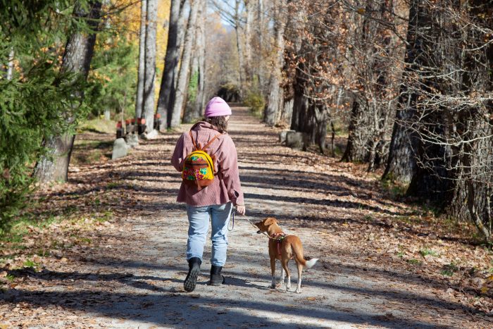 La importancia del turismo y la naturaleza en la recuperación de la salud mental