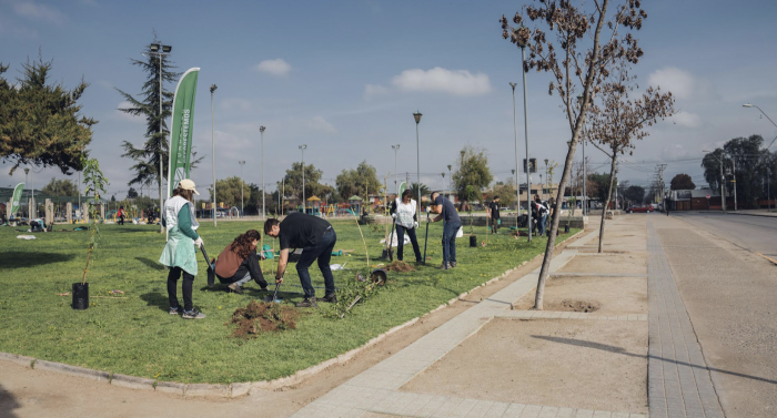 Proyecto inicia temporada de arbolado urbano plantando más de 2.000 árboles nativos