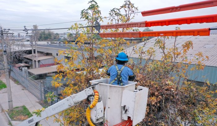 Región Metropolitana: Enel duplica trabajos de poda para despejar más de 4.500 kms de red eléctrica