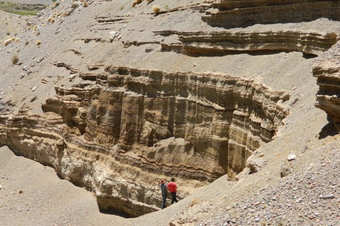 Simposio “Hielo al Desierto: Investigaciones del periodo Cuaternario en Chile”