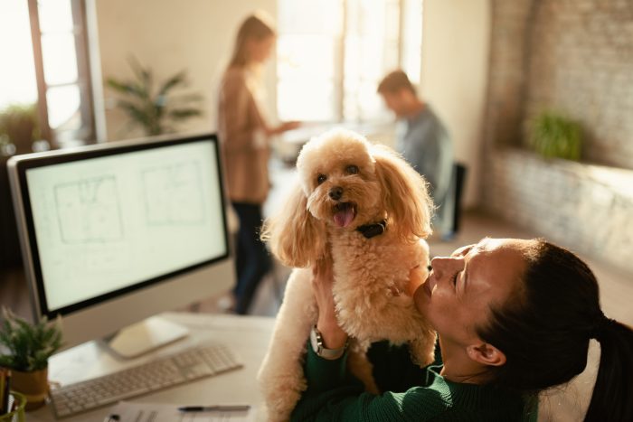 43% de los colaboradores considera beneficioso para la salud mental llevar a su mascota al trabajo