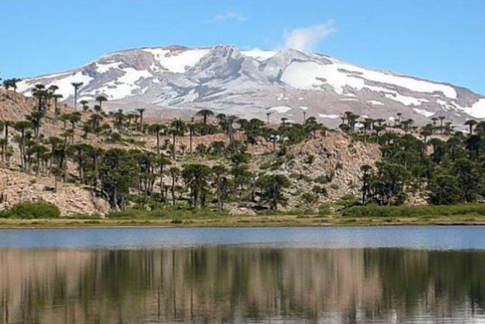 Chileno crea sistema para pronosticar erupciones volcánicas mediante IA y datos sísmicos