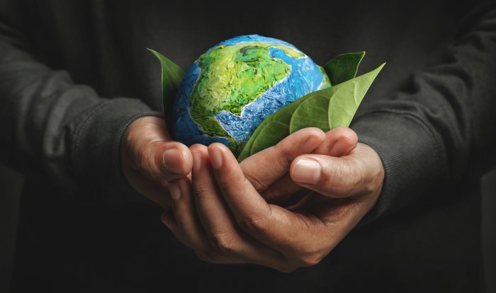 Día Mundial del Medio Ambiente: cuatro ideas para cuidar el planeta desde casa