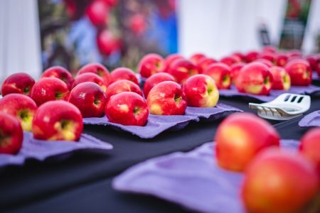 Cambio climático y frutas: especialistas destacan que la industria está preparada para las lluvias