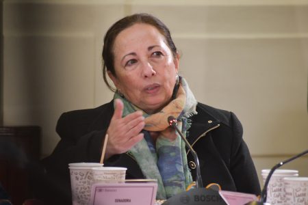 Senadora Sepúlveda critica tesis del “montaje” del PC en Villa Francia: “Ahí se equivocan”