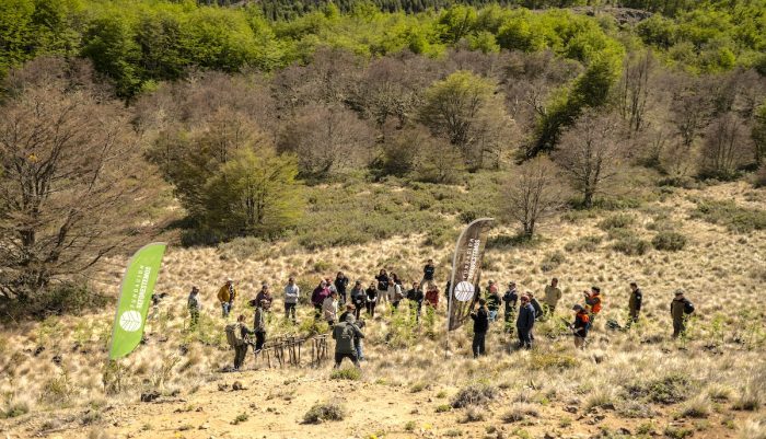 Lanzan convocatoria para voluntariado ciudadano de reforestación en la Patagonia