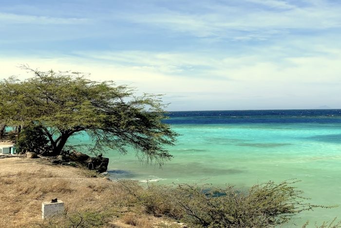 Aruba: ¿Por qué esta isla es uno de los mejores destinos turísticos del Caribe?