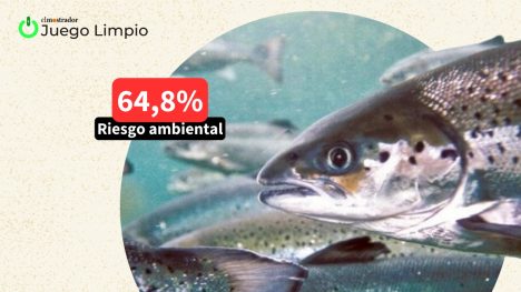 El efecto búmeran de la queja de Frei Ruiz-Tagle por “el ninguneo” a la industria del salmón