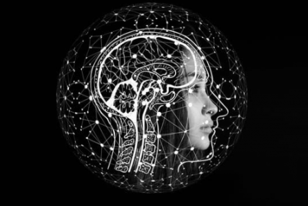 Explorando el funcionamiento de la mente neurodivergente