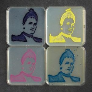 Novela gráfica rescatará historia de Fanny Hess, mujer que revolucionó