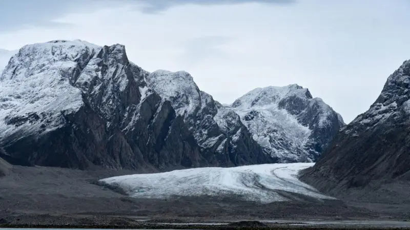 Desde microbios a mamíferos: cómo resurge la vida en los sitios donde se derriten los glaciares