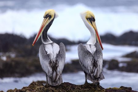 Lanzamiento del fotolibro “Visiones, costa del Dragón”