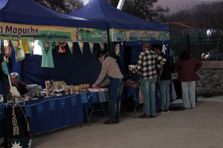 20° Expo de Pueblos Originarios de Peñalolén