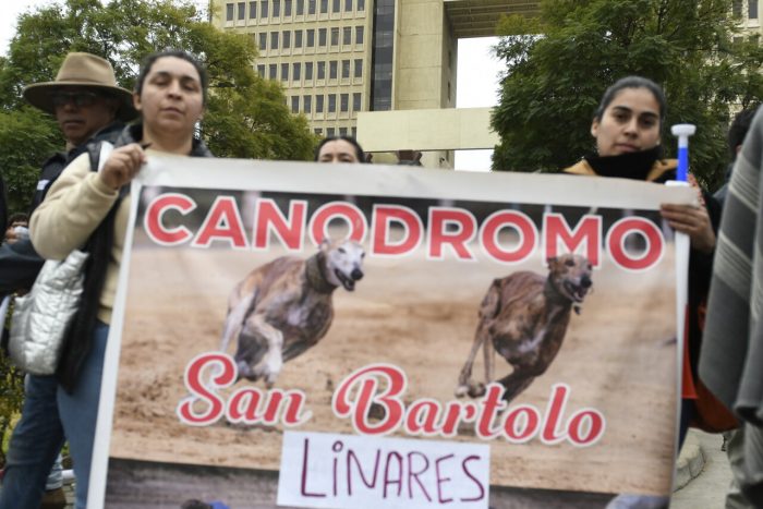 La vuelta oficialista que terminó por hacer caer el proyecto de prohibición de carreras de galgos