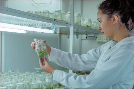 Ciencia con rumbo: La urgencia de un ministerio con estabilidad