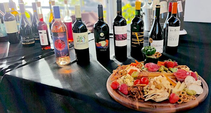Pequeños productores vitivinícolas del Maipo realizarán feria de vinos en Santiago