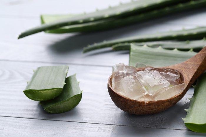 Conoce las propiedades y cómo usar el aloe vera para eliminar las bolsas y las ojeras en el rostro