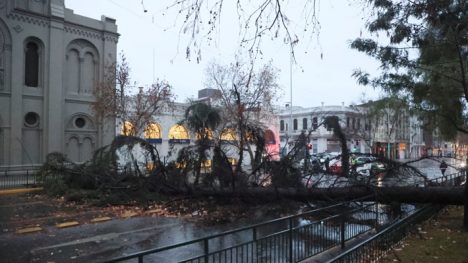 Revisa la cantidad de agua caída en la RM por lluvias con ráfagas de hasta 124 km/h