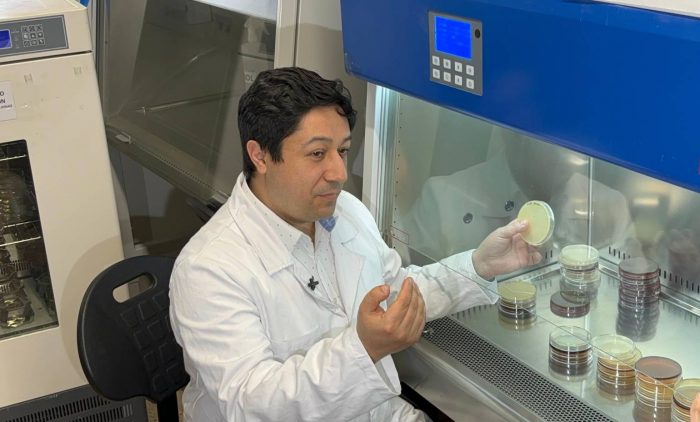 Los microorganismos que se pueden encontrar en artículos de uso común que pueden afectar a la salud