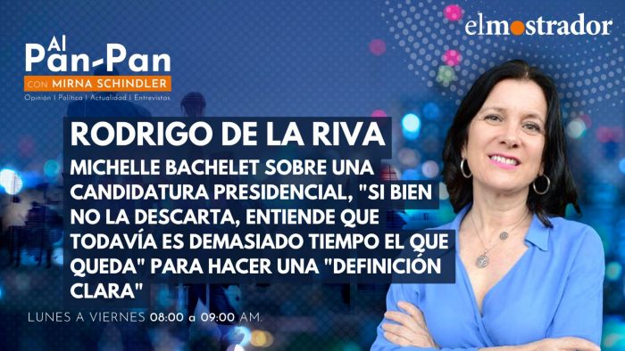 AlPanPan: Francisco González y Rodrigo de la Riva sobre crianza compartida y despliegue de Bachelet