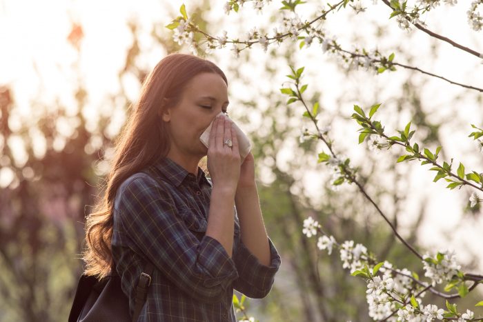 Llega la primavera: ¿cómo debemos prepararnos para enfrentar el período de alergias?