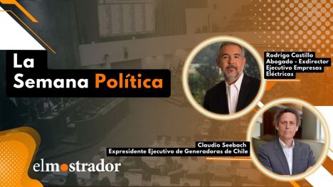 Distribución eléctrica: "La buena regulación es el mejor predictor de desempeño, no la propiedad"