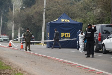 Ministra Tohá informó de 25 homicidios en lo que va de Fiestas Patrias