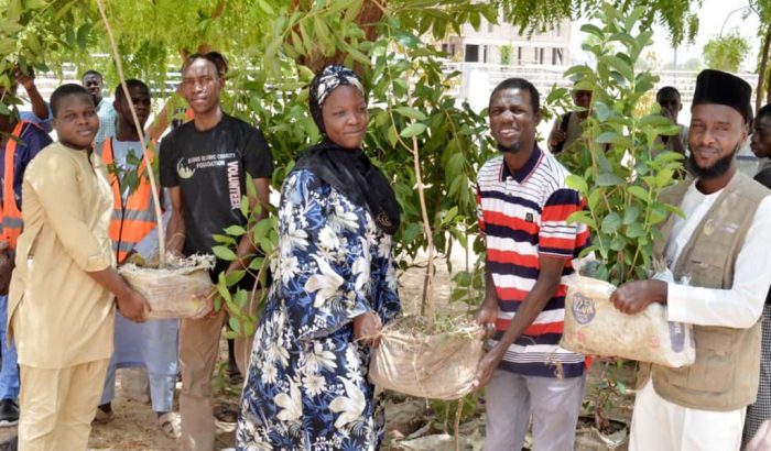 Una iniciativa contra la deforestación beneficia a la comunidades locales del noreste de Nigeria