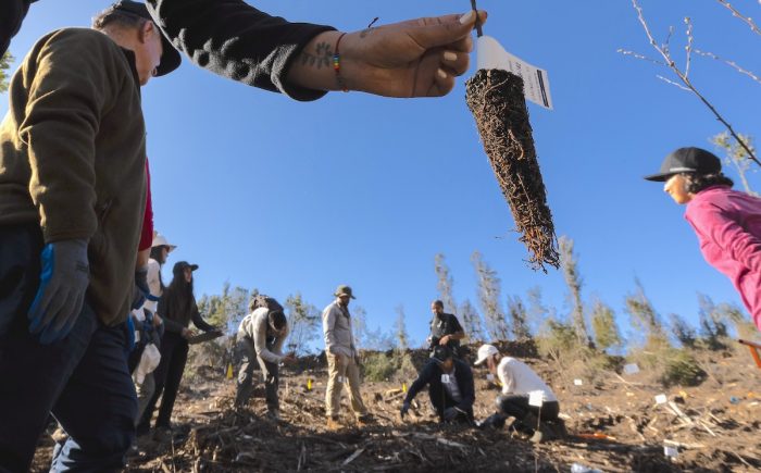 Plantación con especies amenazadas da inicio a futuro jardín botánico universitario 