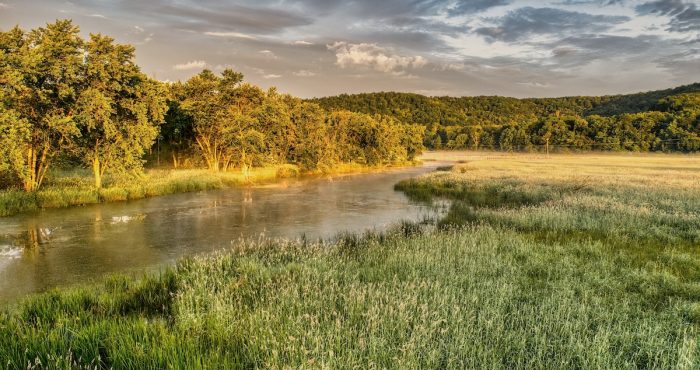 Turberas: Los ecosistemas de la zona sur que permiten almacenar cerca de un tercio del Co2 mundial