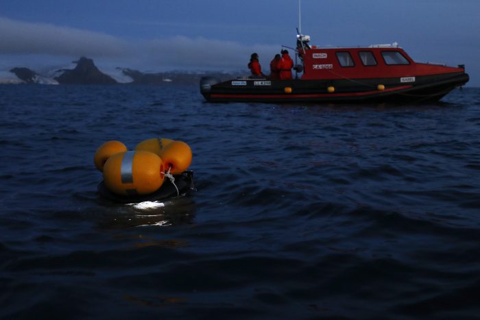 Investigadores revelan cómo el viento puede afectar a la vida marina de la Antártica