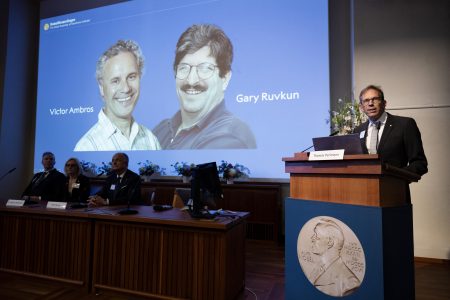 Victor Ambros y Gary Ruvkun ganan Nobel de medicina por descubrimiento del microARN