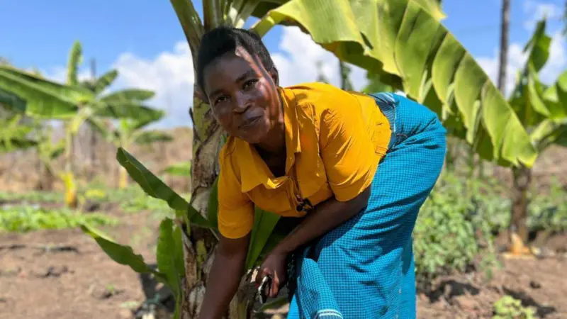 “La gente se sorprende de lo bueno que es”: las agricultoras que hacen vino con bananas