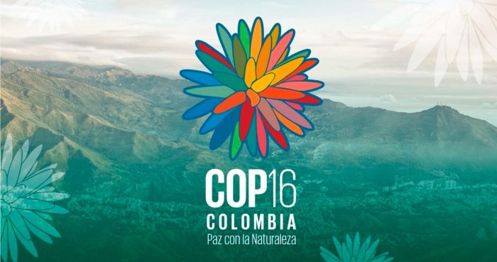 La COP16 de Biodiversidad: Se acabó el tiempo