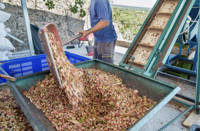 Residuos agrícolas como solución verde: cáscaras de pistacho, almendra y nuez para capturar CO₂