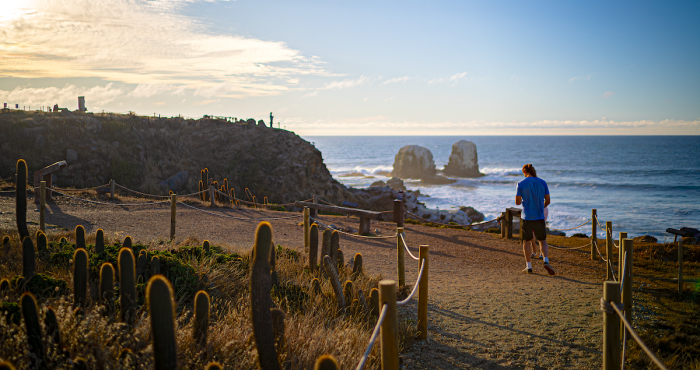 “Se Vende Parque Punta de Lobos”: ¿Qué hay detrás de este mensaje?