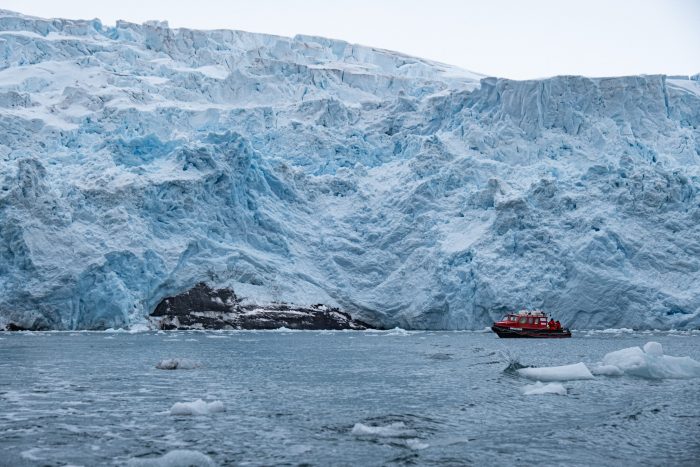 Especies no autóctonas en Antártica: impacto en la biodiversidad polar y los desafíos futuros