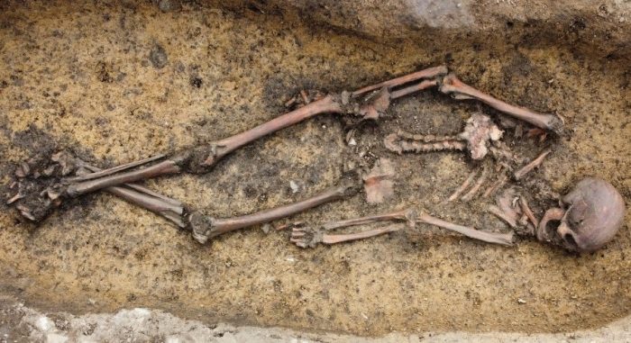 Más de 50 cuerpos con ajuares hallados en un enterramiento vikingo