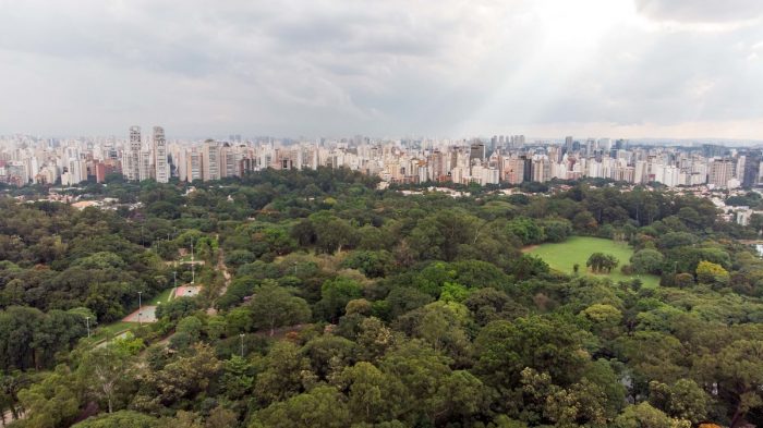 São Paulo, la ciudad donde rugirán los motores y se disfrutará la emoción de la Fórmula Uno