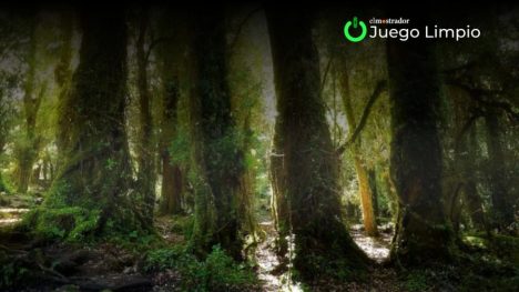 Carbon Real lanza los primeros créditos de carbono de la Patagonia (JUEGO LIMPIO)